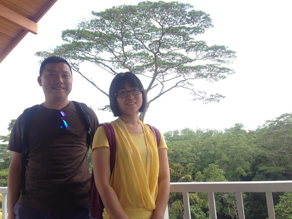 Bee View Home Stay Kandy Exterior photo
