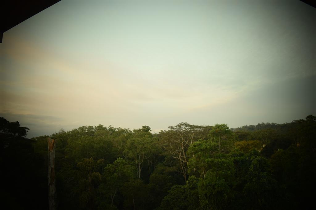 Bee View Home Stay Kandy Exterior photo